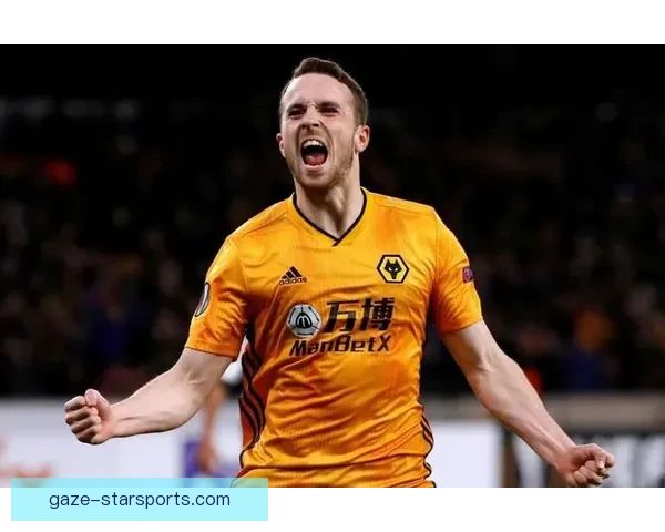 狼队迎来新赛季挑战，核心球员健康回归引关注，球队目标锁定季后赛