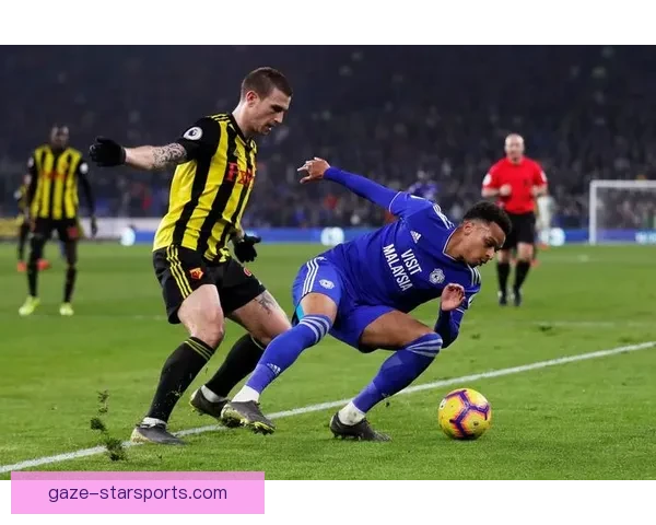 沃特福德足球俱乐部：历史、成就与未来发展方向分析